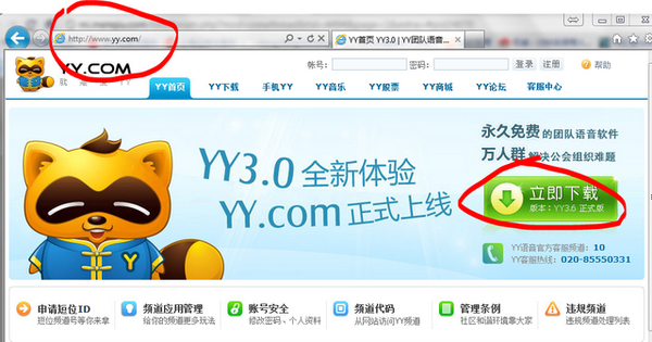 yy1.jpg