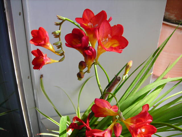 DSCN1357.JPG