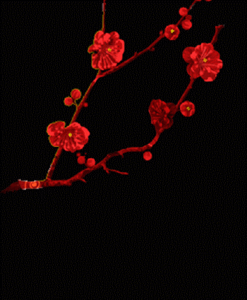 --001.gif