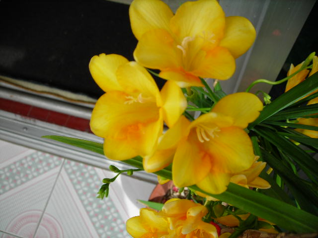 DSCN1349.JPG