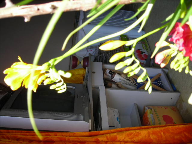 DSCN1327.JPG