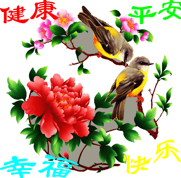 BƽҸ.gif