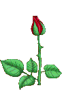 803869.gif