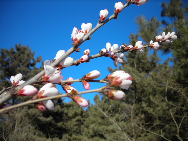 DSCN1391.JPG