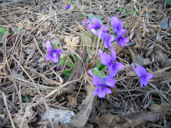 DSCN1373.JPG