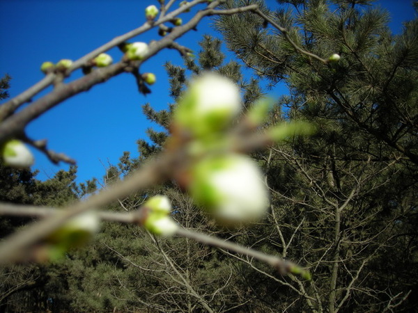 DSCN1392.JPG