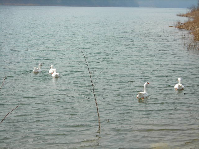 DSCN1409.JPG
