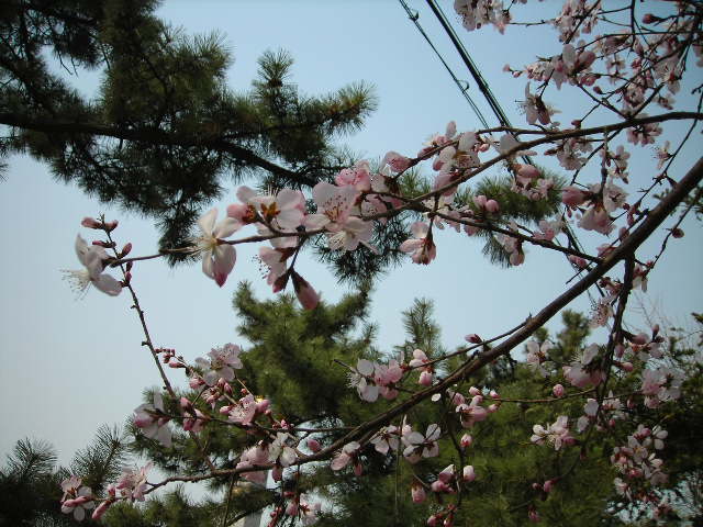 DSCN1419.JPG