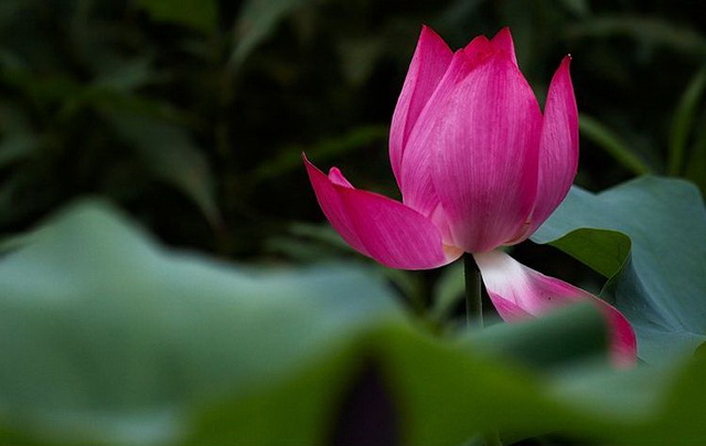 20090712_244aac19faecee2af714qg4y4KqLStlS.jpg
