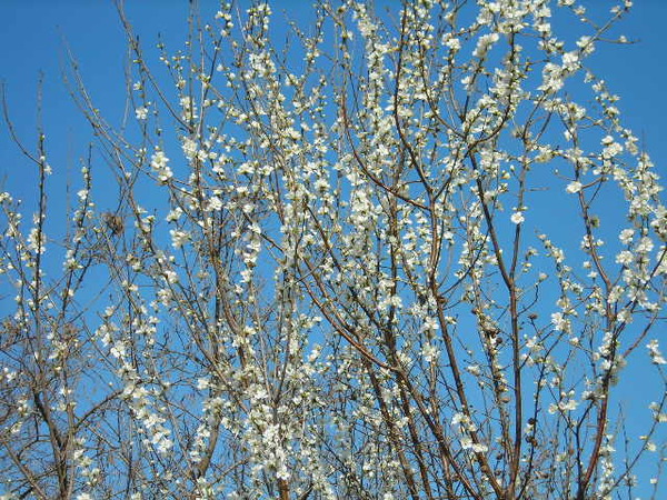 DSCN1426.JPG