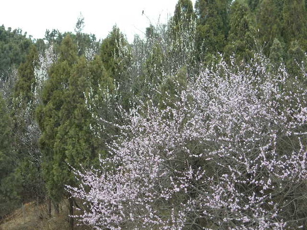 DSCN1423.JPG