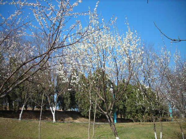 DSCN1427.JPG