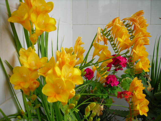 DSCN1350.JPG