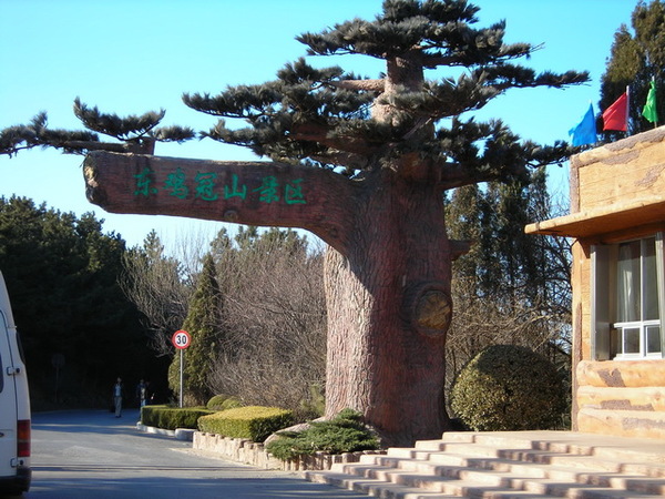 DSCN1390.JPG