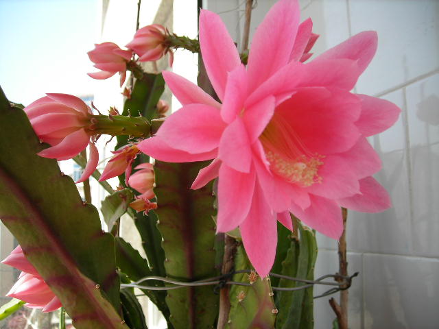 DSCN1431.JPG