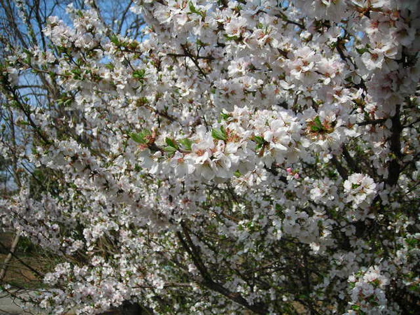 DSCN1437.JPG