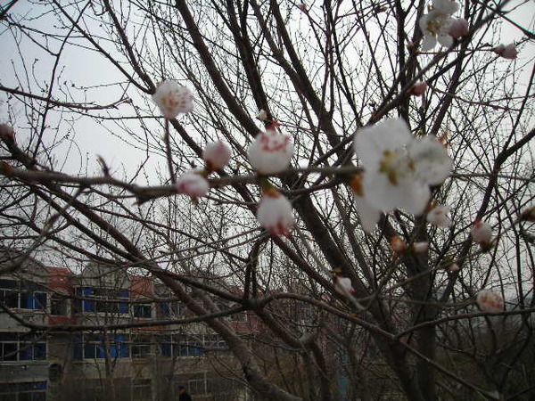 DSCN1411.JPG
