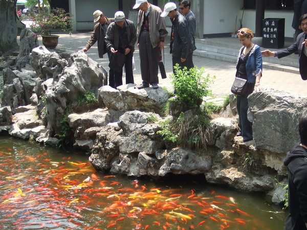 DSCF8303.JPG