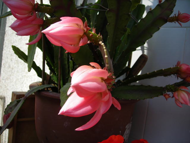 DSCN1430.JPG