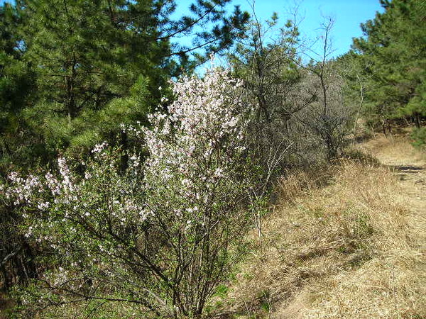 DSCN1452.JPG