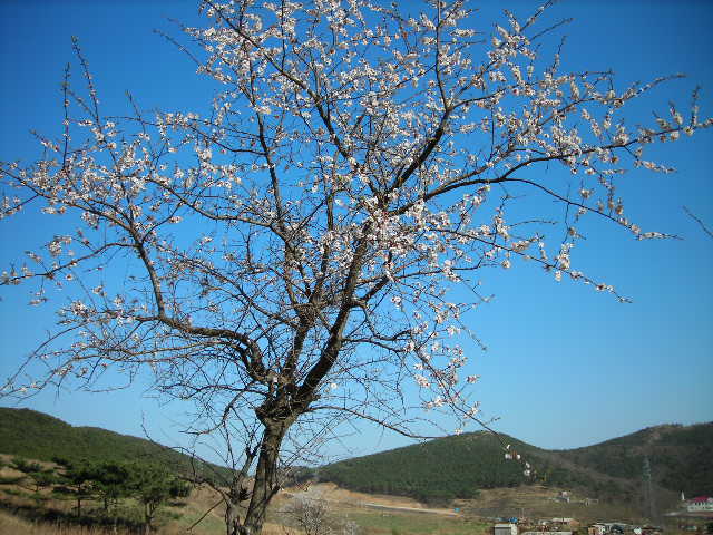 DSCN1450.JPG