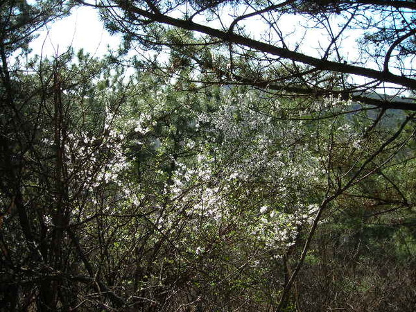 DSCN1451.JPG