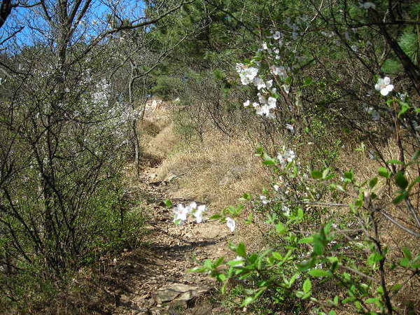 DSCN1455.JPG