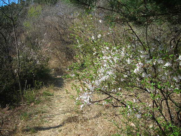 DSCN1454.JPG