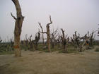 u=3178592659,557010553&fm=0&gp=32.jpg