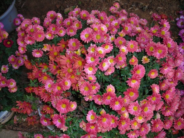 DSCN0660.JPG