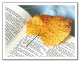 78295-Bookmarks.jpg