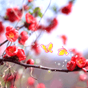 20100210174306.gif