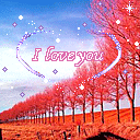 20081006063736.gif
