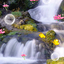 20081106062802.gif