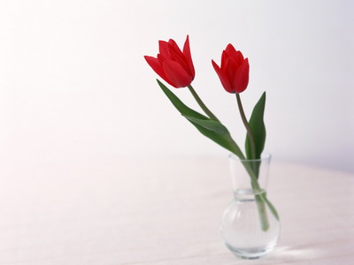 972983_TN_070305homeflower13.jpg