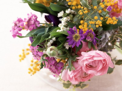 973800_TN_070306homeflower04.jpg