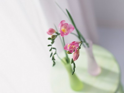 972983_TN_070305homeflower10.jpg