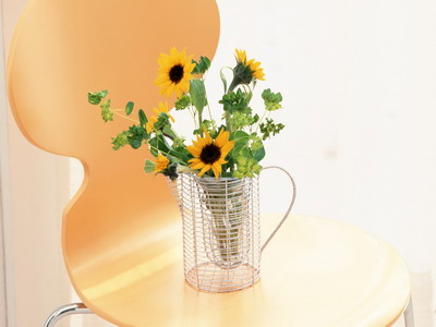 972983_TN_070305homeflower11.jpg