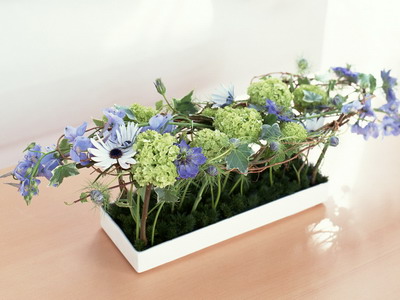 972983_TN_070305homeflower16.jpg