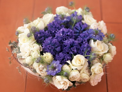 973800_TN_070306homeflower03.jpg