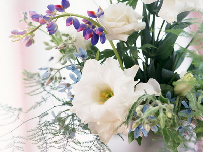 972983_TN_070305homeflower08.jpg