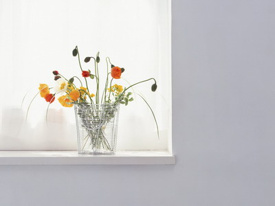 972983_TN_070305homeflower18.jpg