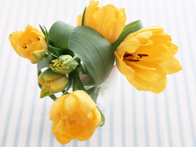 973800_TN_070306homeflower07.jpg