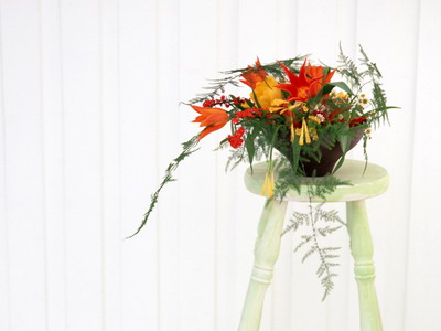 972983_TN_070305homeflower09.jpg