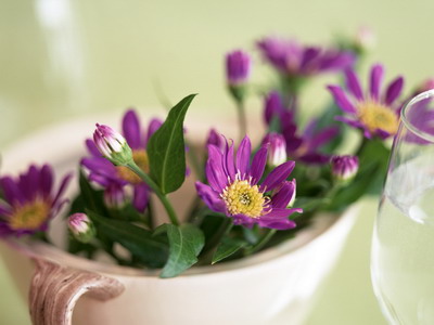 973800_TN_070306homeflower11.jpg