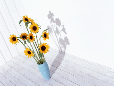 973800_TN_070306homeflower18.jpg