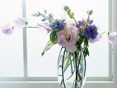 973800_TN_070306homeflower13.jpg