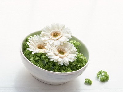 973800_TN_070306homeflower15.jpg