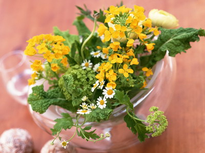 973800_TN_070306homeflower12.jpg