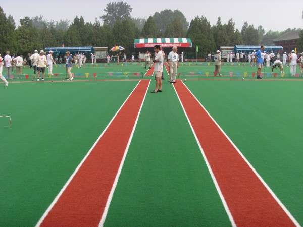SI854410.JPG